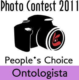 PhotoContest2011 People's Choice - Ontologista.png