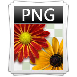 File:PNG.png