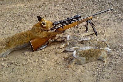 File:Foxhunt-remington-700.jpg