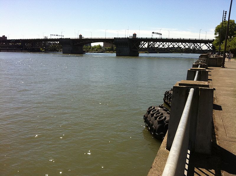 File:Burnside Bridge from North Waterfront Park with railing.jpg