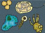 Thumbnail for File:Green and Non-Green Germs.png