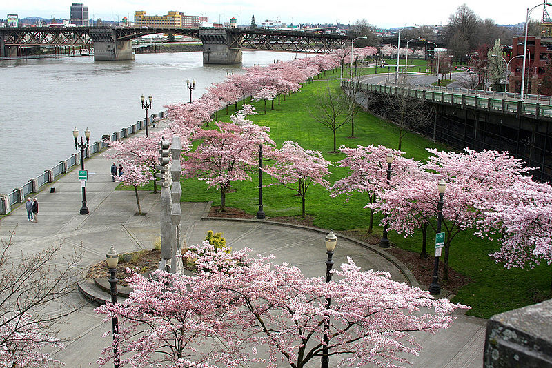 File:Waterfront Park, Portland.jpg