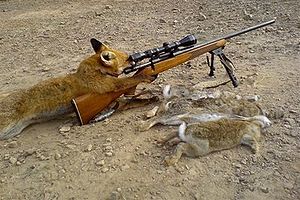 Foxhunt-remington-700.jpg